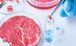 Лабораторный анализ пищевых продуктов по СанПиН в Химках в октябре