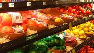 Сертификация пищевой продукции в Химках – цена от 10367 руб. | ПромМир