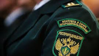 Подготовка к проверке Росприроднадзора в Химках от ПромМир, стоимость услуги от 20734 руб.